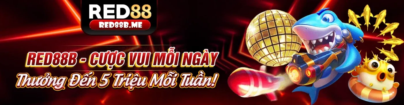 Cá cược thể thao sôi động tại DT88