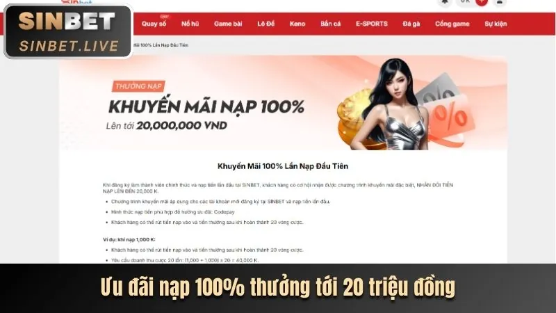Hoàn Trả Thể Thao/Casino Cao Cấp